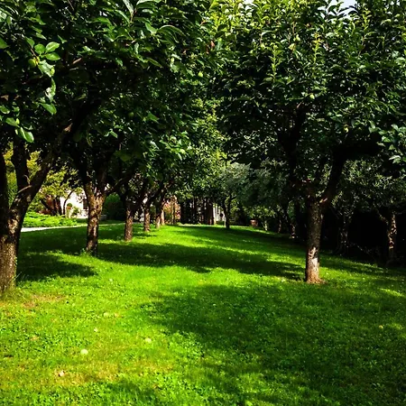 Bed & Breakfast Carrara Salvadori *