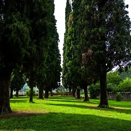 Bed & Breakfast Carrara Salvadori *
